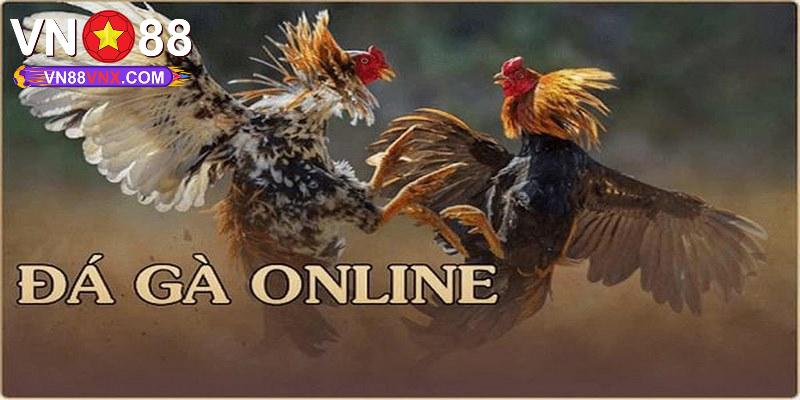 Trực Tiếp Đá Gà Thomo - Hình Thức Chọi Kê Thú Vị Tại VN88 1 Giới thiệu sơ lược trực tiếp đá gà Thomo