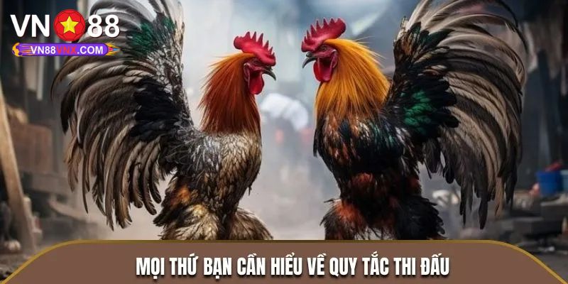Đá Gà Campuchia: Khám Phá Loại Hình Giải Trí Cá Cược Cực Hot 3 Các loại hình đá gà Campuchia không thể bỏ lỡ