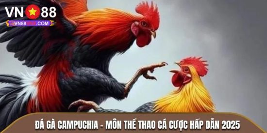 Đá Gà Campuchia | Khám Phá Loại Hình Giải Trí Cá Cược Cực Hot