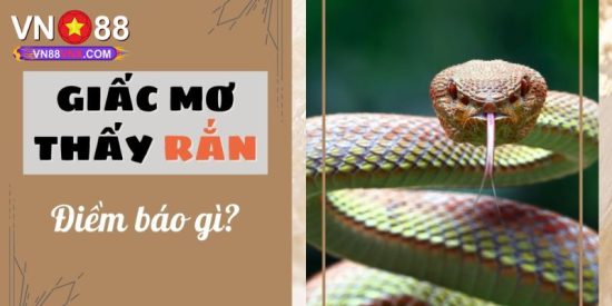Mơ Thấy Rắn - Giải Mã Điềm Báo Và Con Số May Mắn Cùng VN88