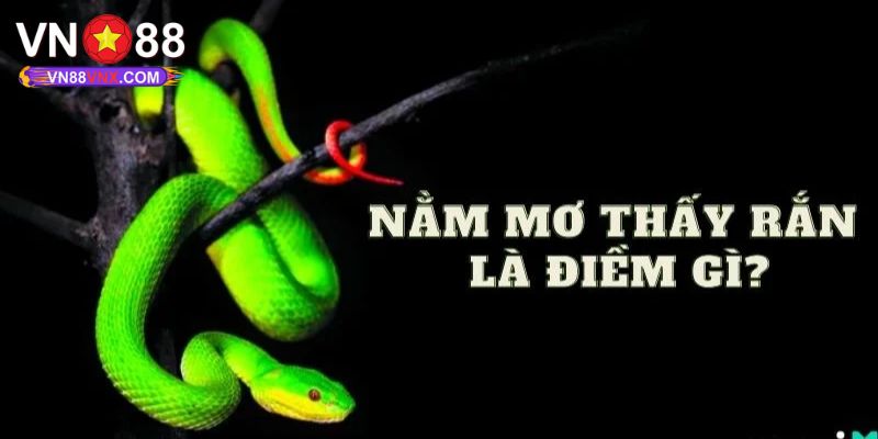 Mơ Thấy Rắn - Giải Mã Điềm Báo Và Con Số May Mắn Cùng VN88 2 Chiêm bao bị cắn