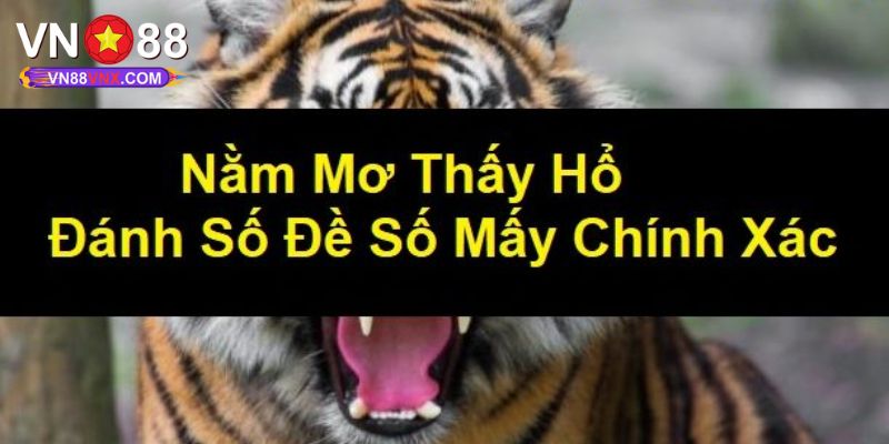 Mơ Thấy Hổ - Thông Điệp Giấc Mộng Cùng Con Số May Mắn
