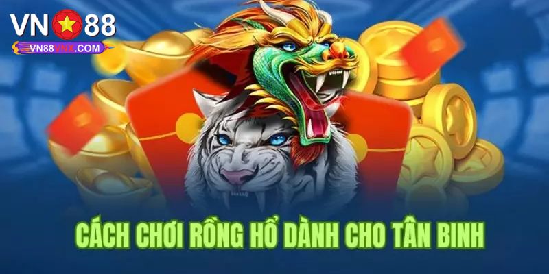 Cách Chơi Rồng Hổ - Chia Sẻ Bí Quyết Thắng Lớn Cùng VN88 3 Bật mí bí kíp săn thưởng khủng khi chơi rồng hổ